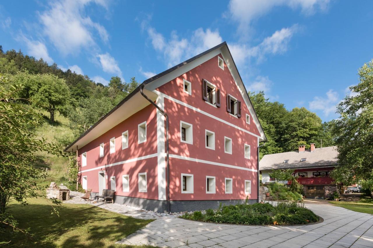 Homestead farm Tešnak Gorenja Vas  Exterior foto